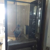 Phòng Xông Hơi Xuất Nhật Mới 100% Hàng Trưng Bày Thanh Lý Dọn Kho