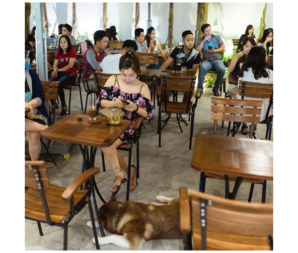 Bộ Bàn Ghế Cafe Fanxifan Có Tay Giá Rẻ (1 Bàn 4 Ghế)